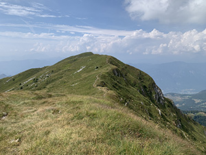 Verso il Dosso Pedalta