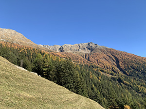 Colori d'autunno