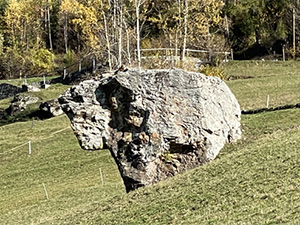 Un masso nei prati che assomiglia a un bisonte