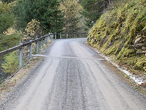 La strada, ora sterrata, nel bosco