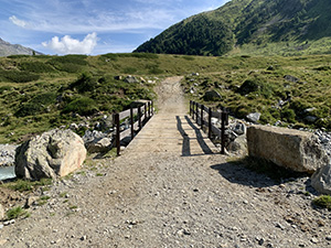 Il ponte dopo l'alpeggio