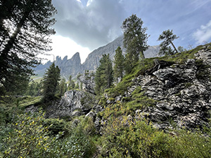 e poi su sentiero tra gli alberi