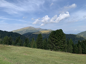 Panorama