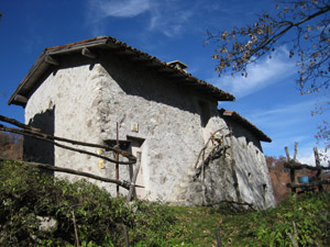 La Casera Muschiada