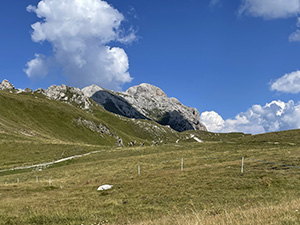 I prati attorno al rifugio