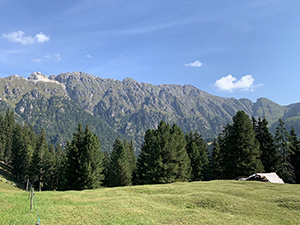 Prati e monti attorno alla malga