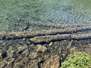 Lago Ragozza