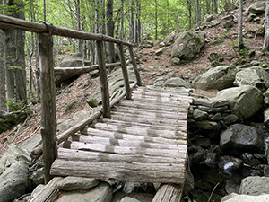 Ponticello di legno