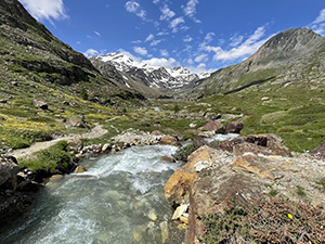 Il torrente dal ponticello