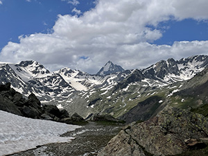 Un poco di neve estiva e il Gran Zebr