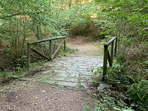 Un ponte sul Cosia