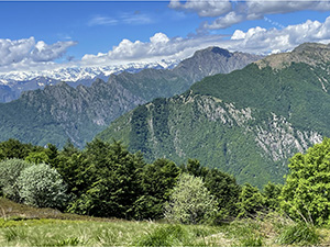 Usciti dal bosco vediamo le montagne