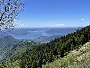 Vista sul Lago Maggiore