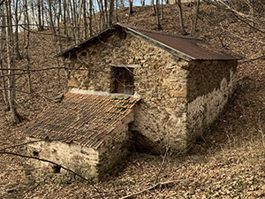 Vecchia cascina nel bosco