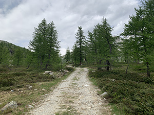 Continuiamo con la sterrata oltre il Rifugio Gattascosa